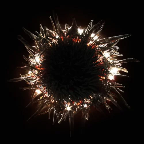 Burning flowers