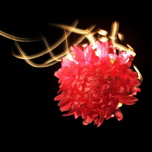 Burning flowers