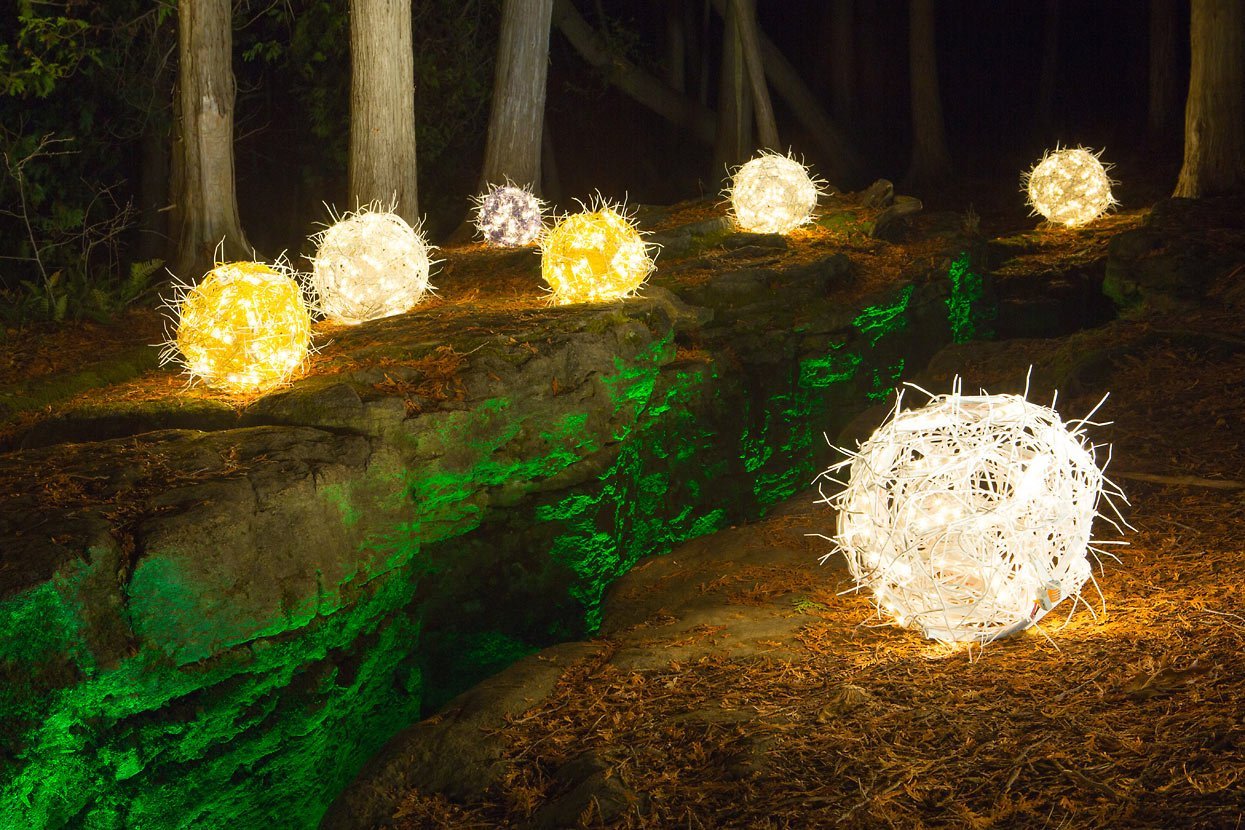 Project 12 Project 12