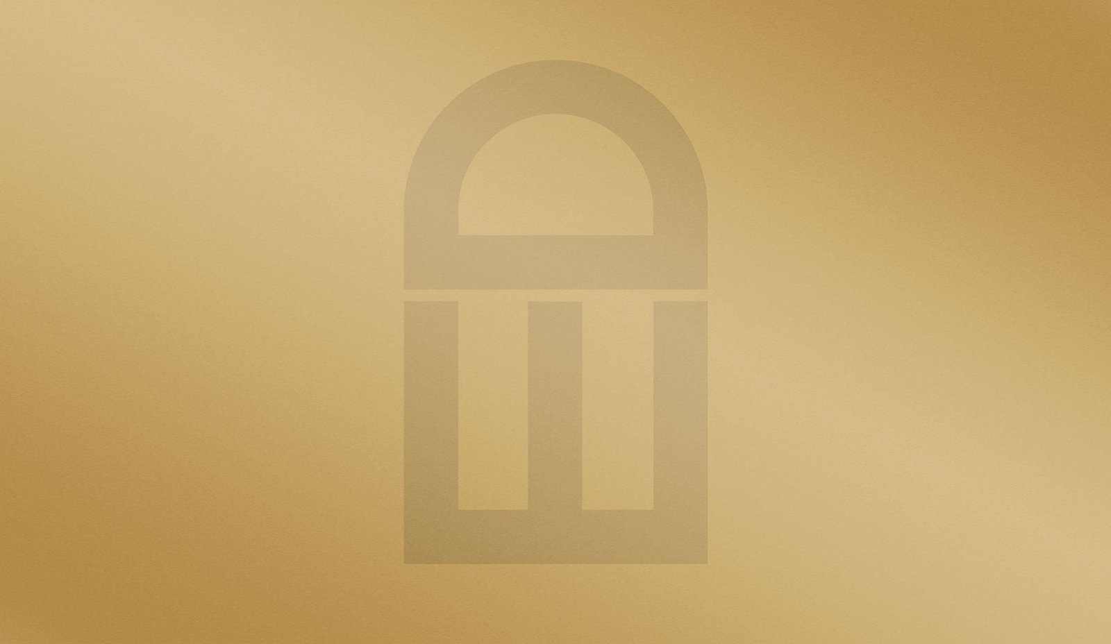 Vinyl City Identity