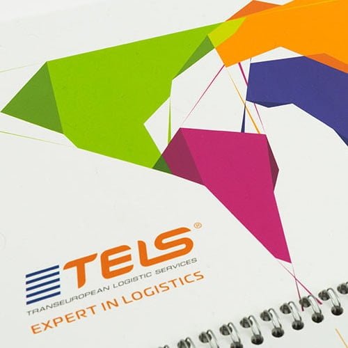 TELS-2019 branding